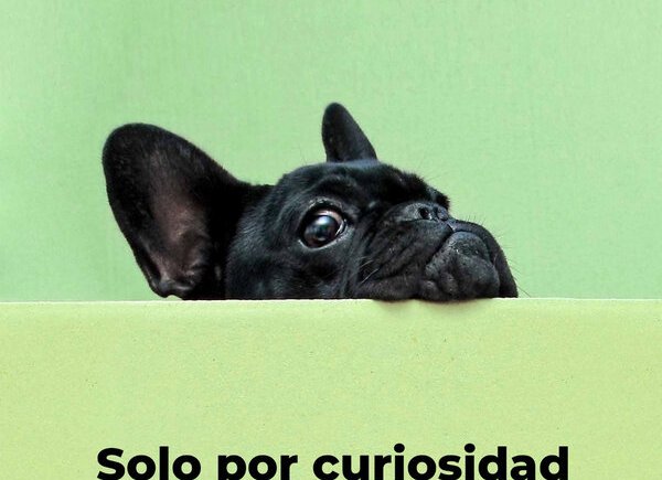 ¿Qué tanto sentido tiene enojarse con un semáforo?