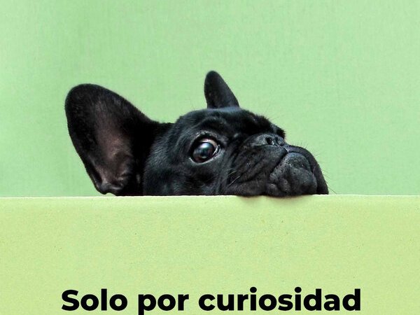 ¿Qué tanto sentido tiene enojarse con un semáforo?