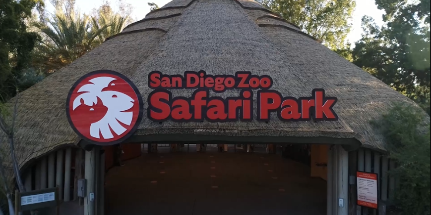 Entrada Gratis Para Mayores De 65 Aos Al Safari Park De San Diego.jpg